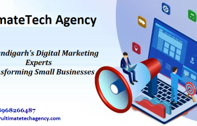 Chandigarh’s Digital Marketing Experts